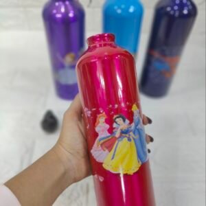 Insulated Cartoon Kids Water Bottle with Straw