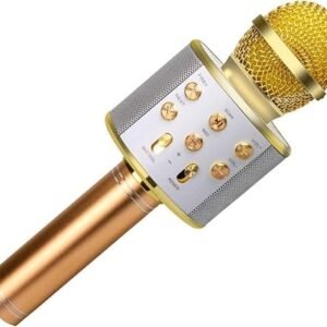 Portable wireless karaoke microphone with built-in speaker