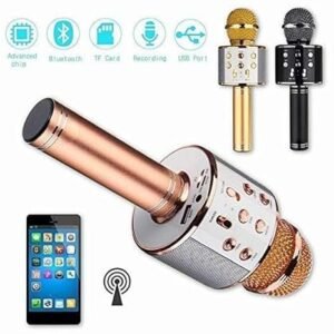 Handheld portable karaoke microphone speaker combo