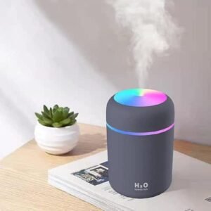 H2O Mini Humidifier