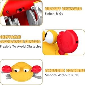 Musical Walking Crab Toy