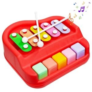 2 in 1 Xylophone and Mini Piano