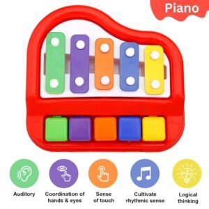 2 in 1 Xylophone and Mini Piano